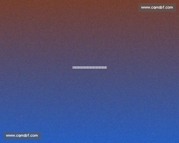 孔帕尼亲赴迈阿密观战本菲卡博卡,世俱杯战术侦察